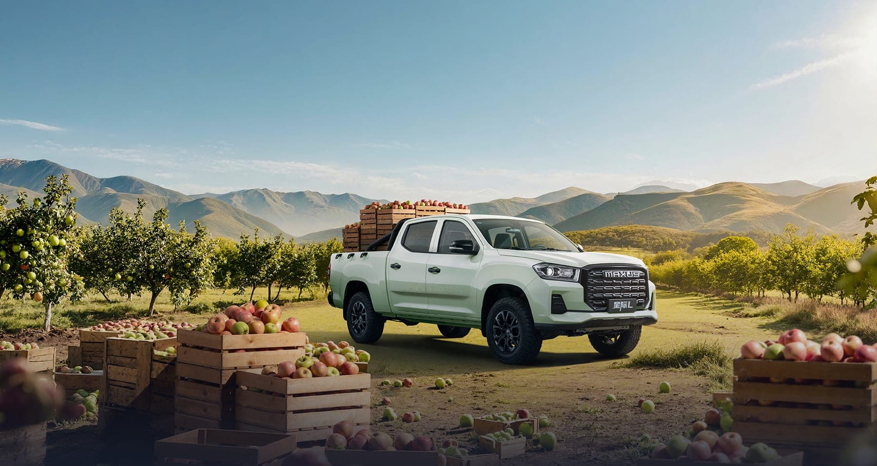 MAXUS Interstellar L 2026 — Pick-up diesel double cabine pour l'export, benne chargée dans un verger